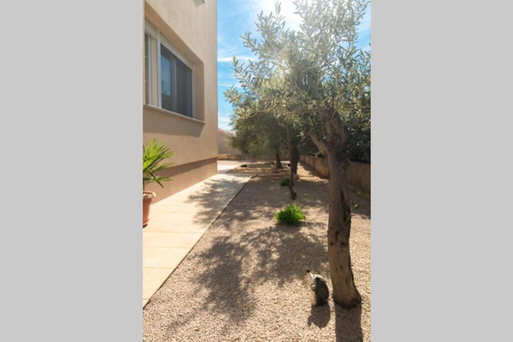 Apartment Natali Punat- Free Parking On Premises Exterior photo